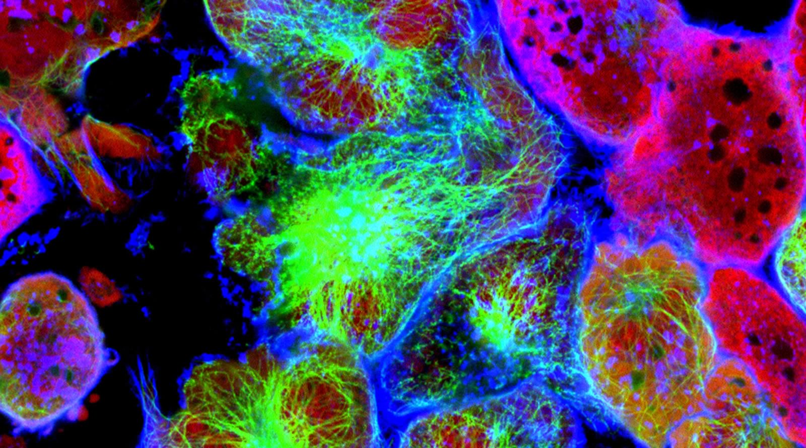 fluorescentie