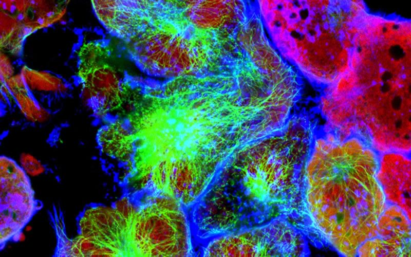 fluorescentie