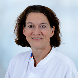 E.S. Hoendermis