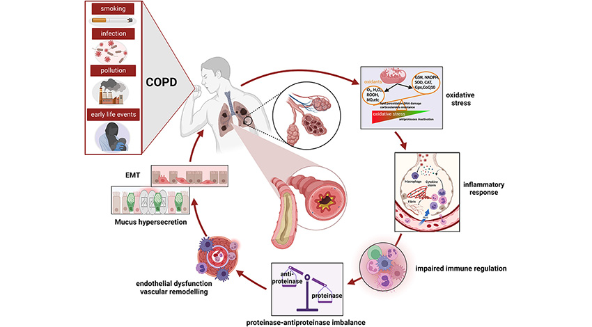 Biologicals bij COPD