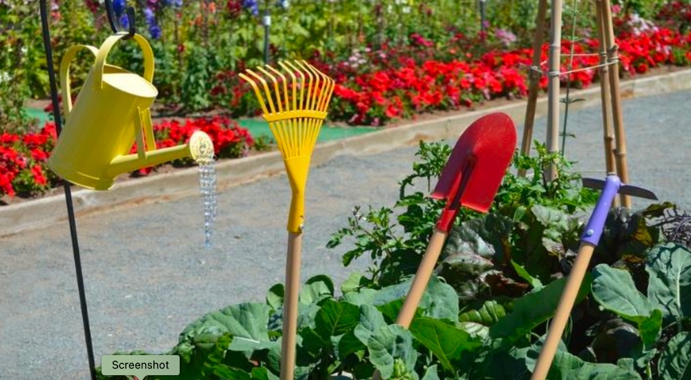 Garden with tools