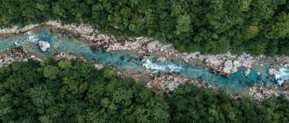 Rivier met bomen bovenaanzicht