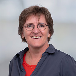 A. Vink