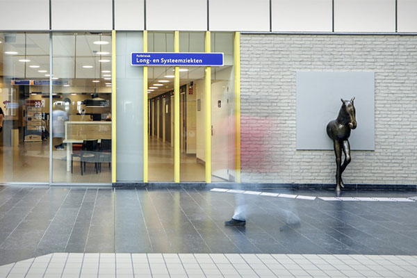Polikliniek Long- en Systeemziekten