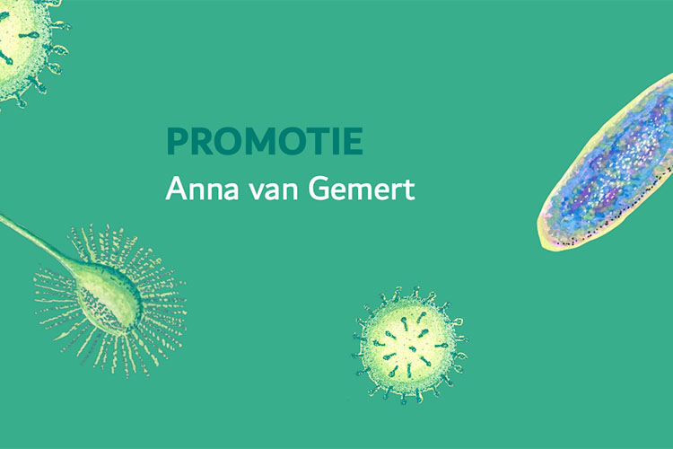 Promotie A. van Gemert