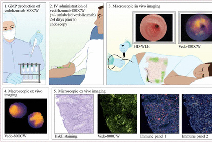 Vedofluorescplaatje