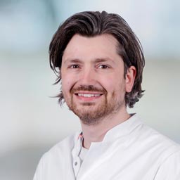 T.P. van der Laan
