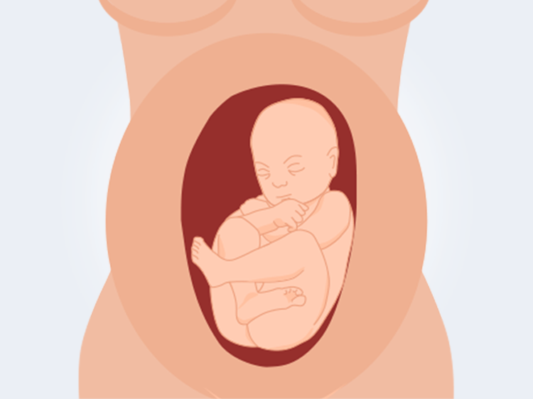 Bij een stuitligging ligt de baby met de billen naar beneden, in plaats van met het hoofd.