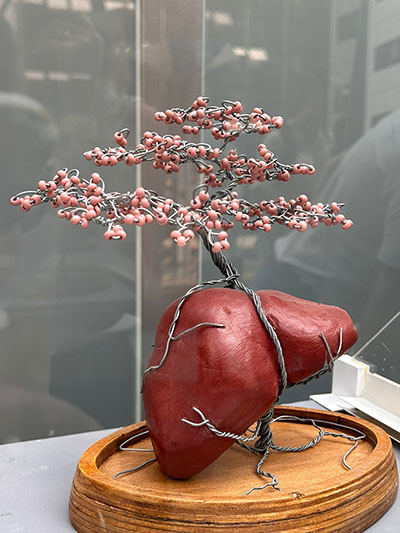 expositie Een gebaar in beeld - lever des levens