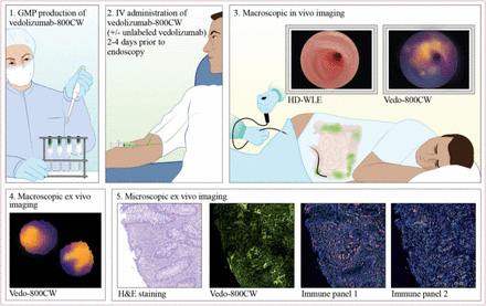 Vedofluorescplaatje